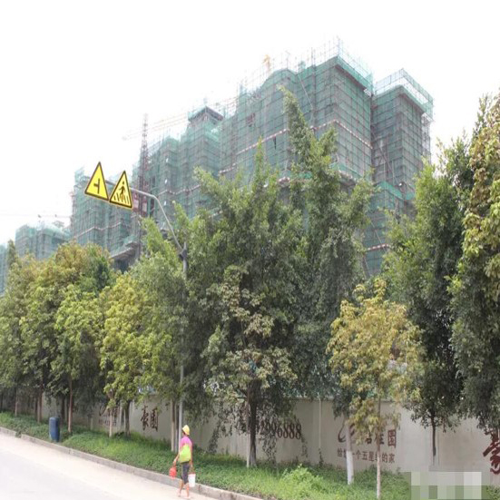 碧桂園案例3